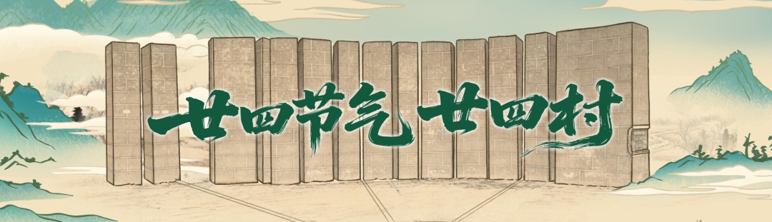 廿四节气廿四村丨芒种：麦浪流金