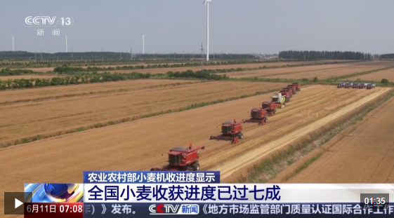 视频丨全国小麦收获进度已过七成 夏播粮食进度过四成
