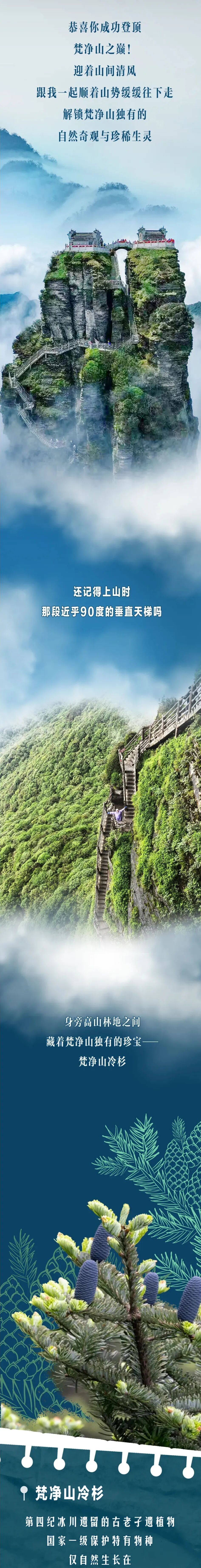满山都是宝！解锁梵净山独有的自然奇观和珍稀生灵