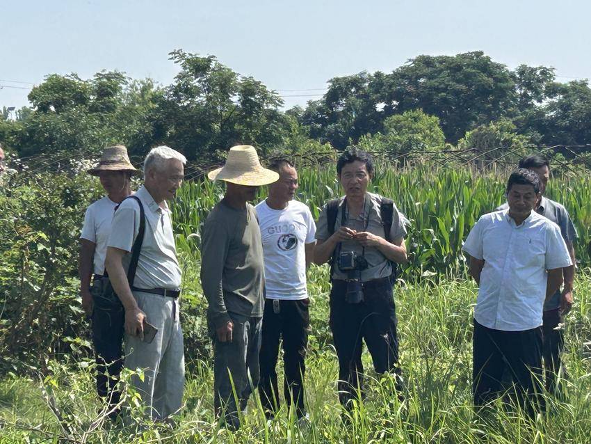 “银龄行动”到应城 田间赋能促振兴
