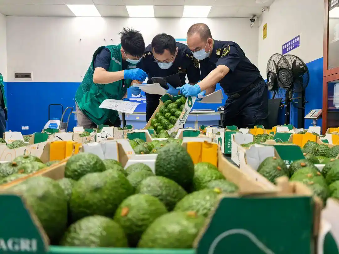 【中国那些事儿】非洲学者：零关税彰显中国开放承诺 中非合作走深走实