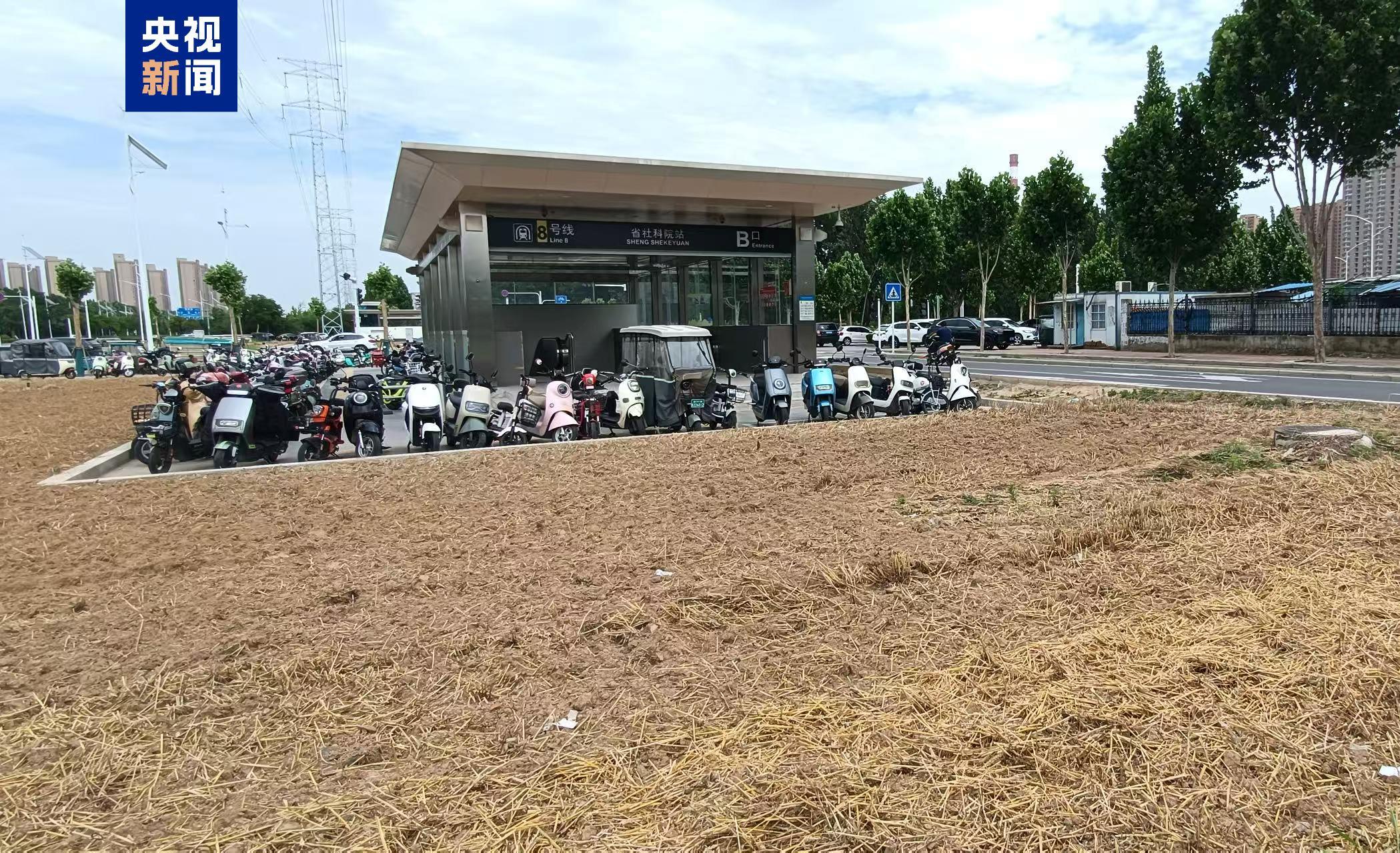  地铁站绿化带变身“麦田”？专家：需明晰空间规划定位