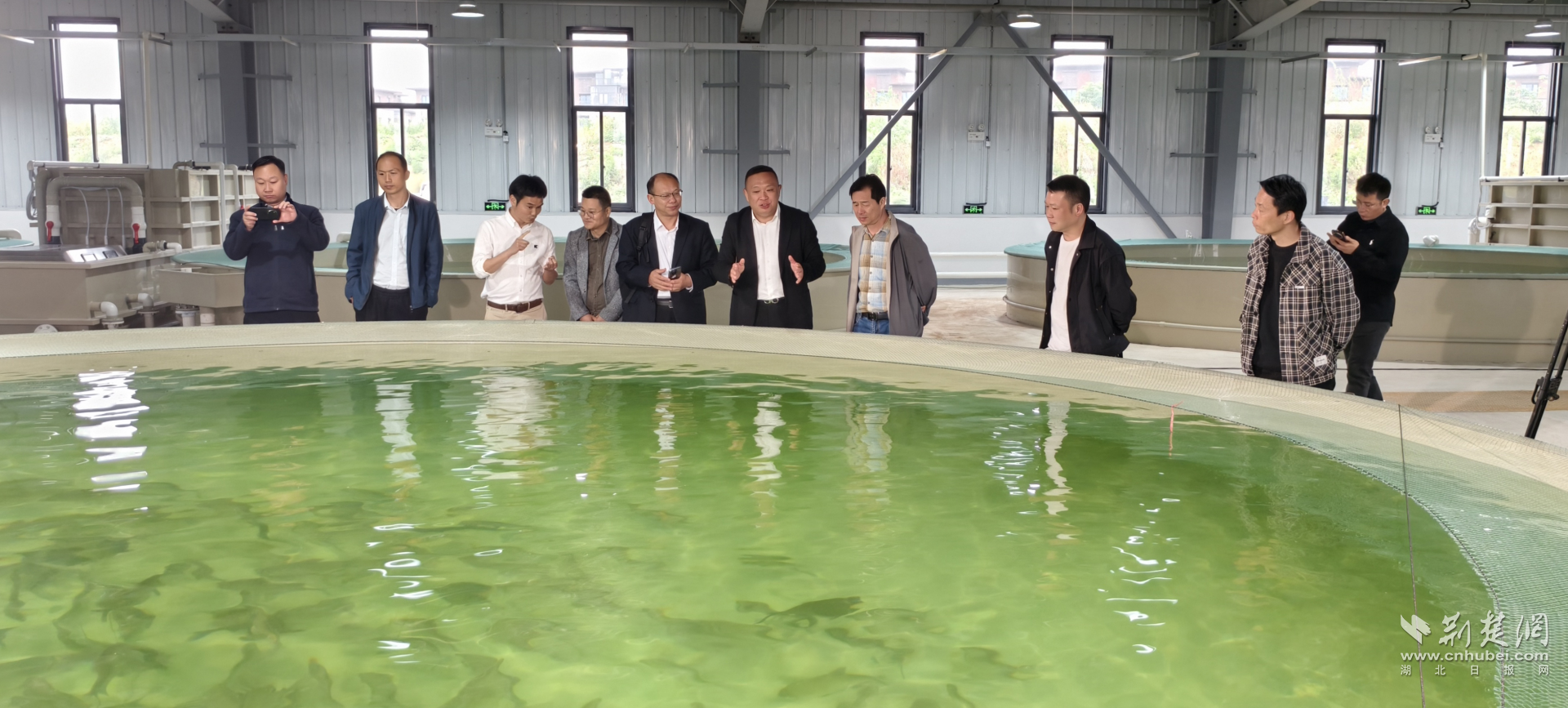技术护航闯海外！鄂州武昌鱼即将批量出口加拿大
