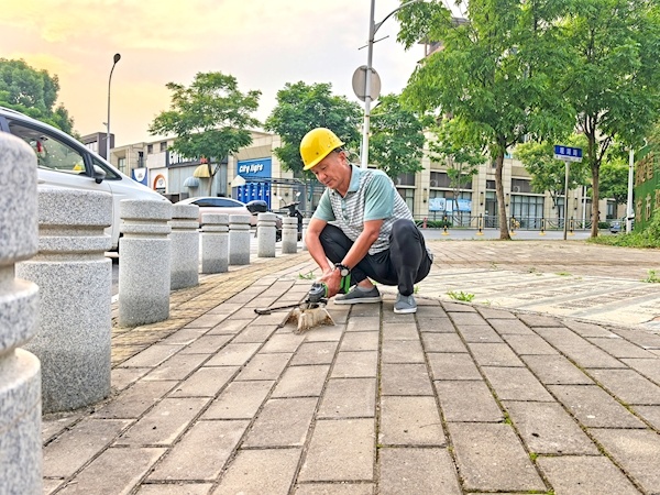 两个多月来，义务拔除路面上遗留的三千多枚铁钉 黄石有位年过花甲的“拔钉侠”