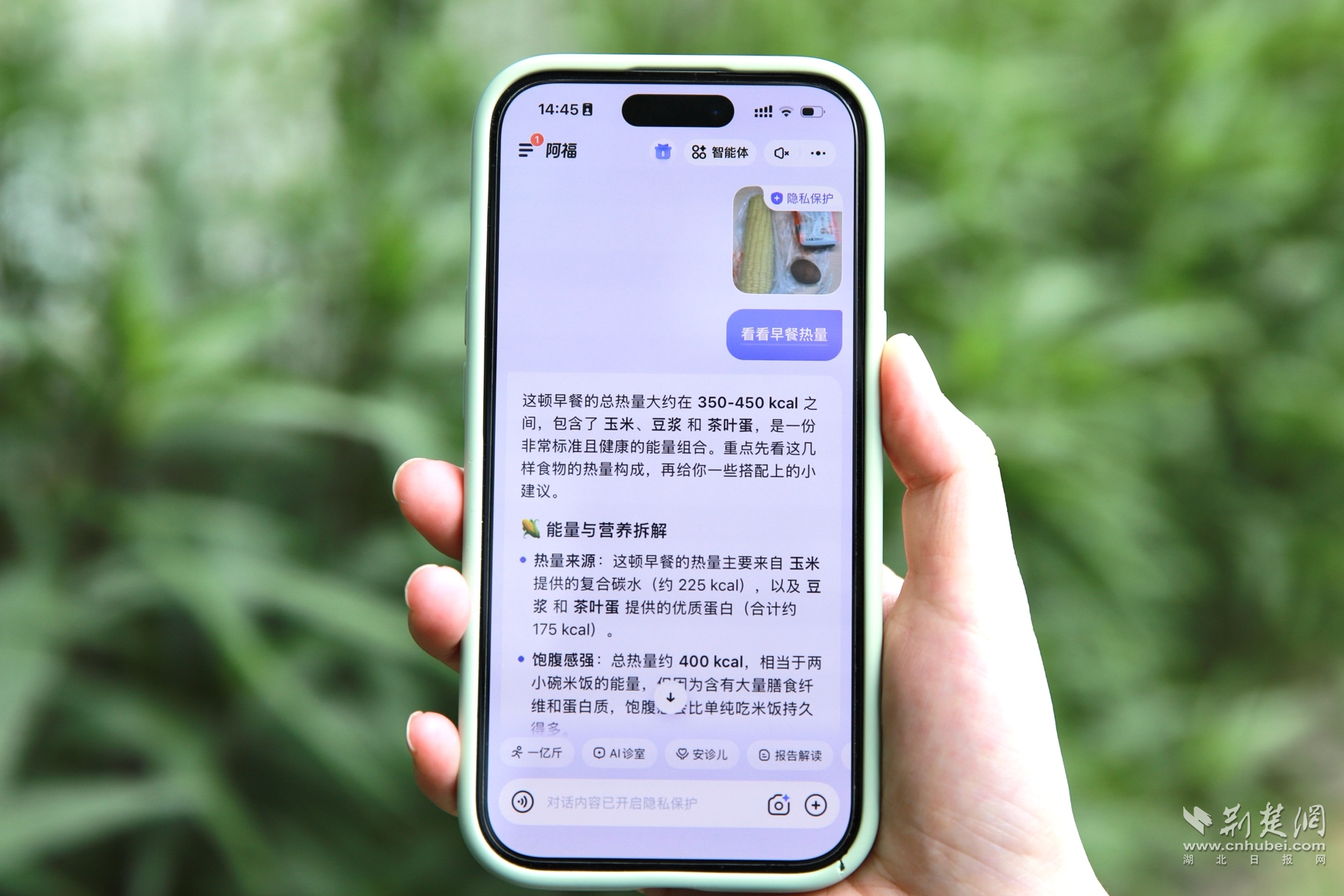 图片1.png.png