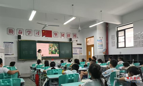 图片3_副本.png