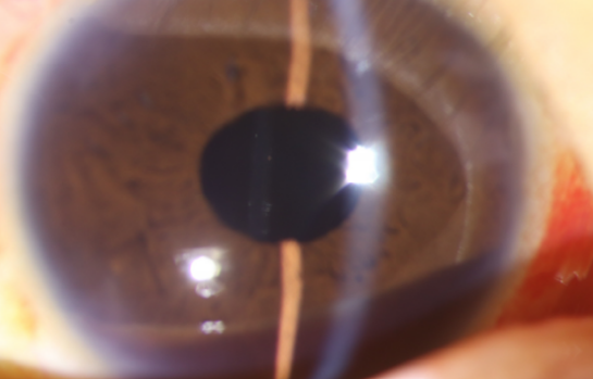 ScreenShot_2026-07-21_102247_330.png