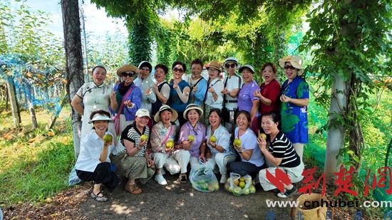 图片3.jpg.jpg