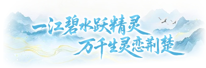 长江十年行｜向绿向新 1061公里的湖北答卷
