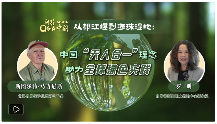 中外专家谈生态转型：绿色入心，中国上新