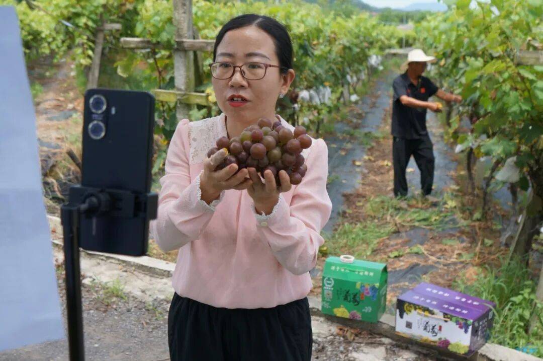 鄂城汀祖镇这位村干部直播卖葡萄“甜”出圈了(图1)