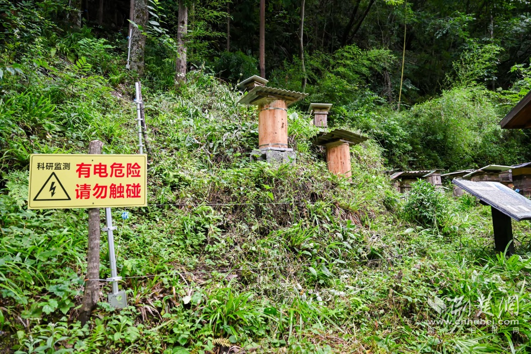 图片6.png.png