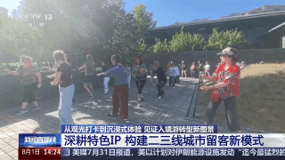 视频丨海外游客来了再来!城市见证入境游转型新图景(图20)