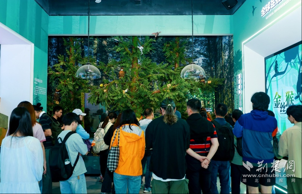 图片4.png.png