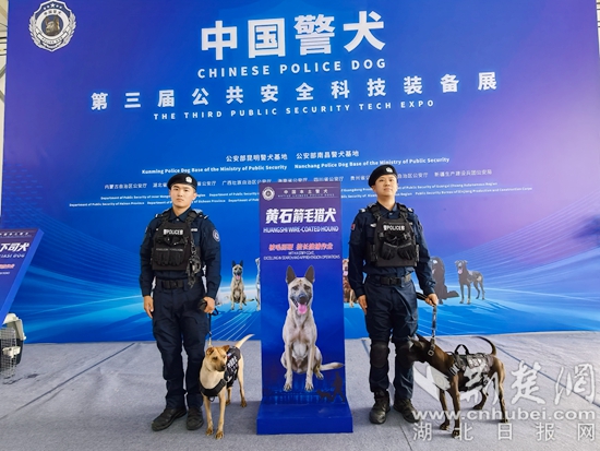 微信图片_20260918085541_132_108.jpg
