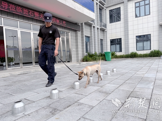 微信图片_20260918085542_133_108.jpg