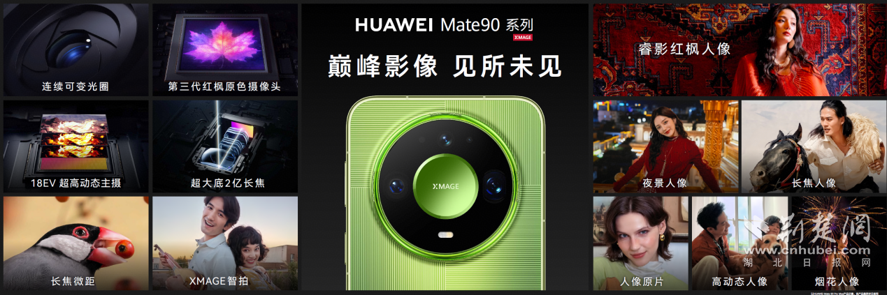 图片7.png.png