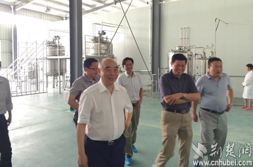 九生堂葛根肽纳饮料厂纳入武汉城市圈科技辐射