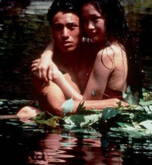 ����ɹʪ����Ϊ��Ѹ����