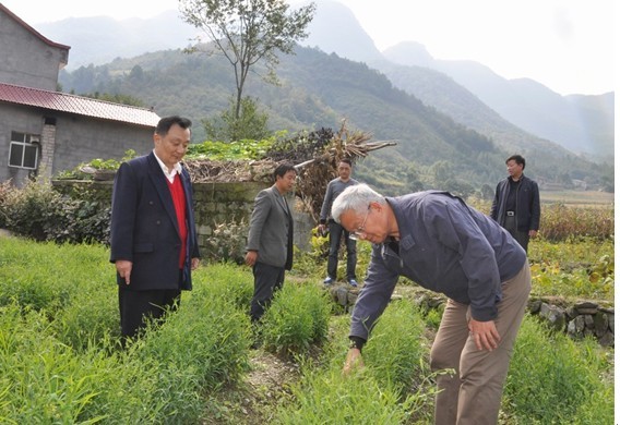 武汉生物工程学院与保康县马桥镇唐二河村结成共建对子已近三年