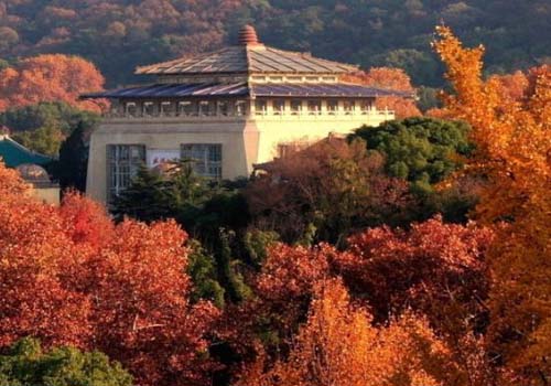 【口碑TOP10】武汉市内的爬山圣地