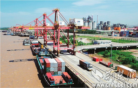 阳逻港成进口水果指定口岸