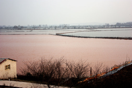 �人�ظ�·�Ժ�ˮ����Ⱦˮ��ʯͷ���(��ͼ)