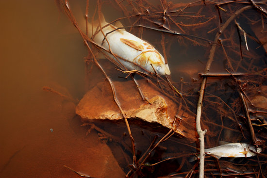 �人�ظ�·�Ժ�ˮ����Ⱦˮ��ʯͷ���(��ͼ)