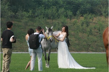 鲍春来的老婆_鲍春来 收入(3)