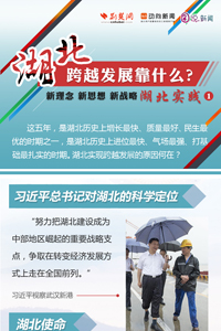湖北跨越发展靠什么？