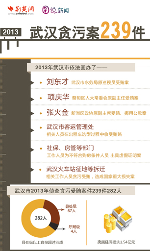 2013武汉贪污案件239件