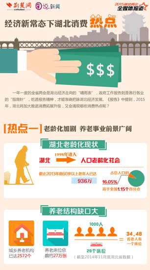 经济新常态下湖北消费热点