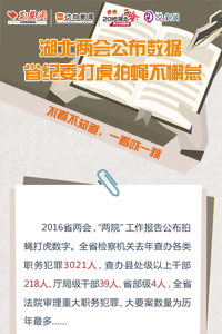 湖北两会公布数据 省纪委打虎拍蝇不懈怠
