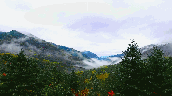 玩味北纬30度的大九湖