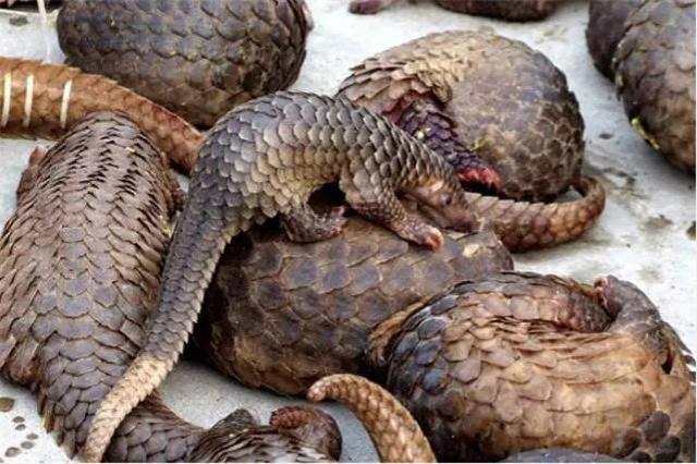 2017年第一天这些法规实施 关乎你的衣食住行