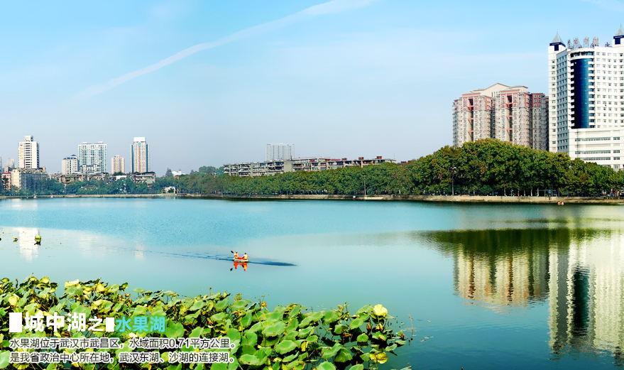 城中湖之水果湖