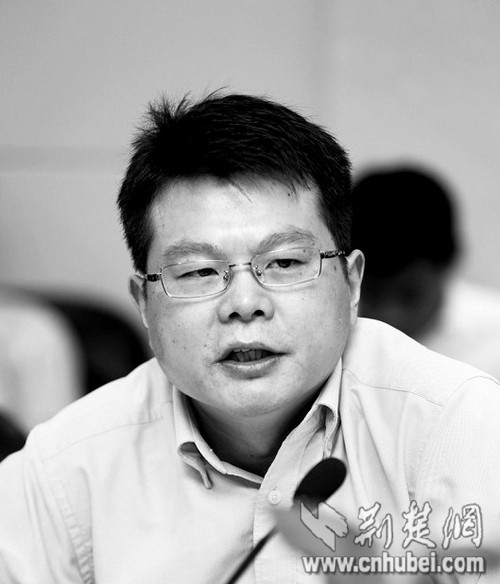 国家发改委研究员冯奎:湖北城镇化建设重在盘