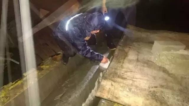 ����������������ֳ��ģ�����ͨ����