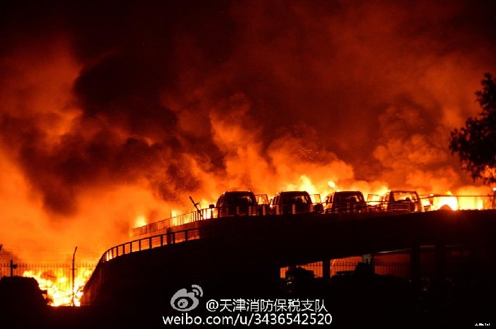 Сսʿ�����еıʼǣ�������������ʱ��������ʨ