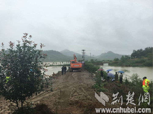 [2016防汛]阳新县军垦农场堤防溃口 当地正组织