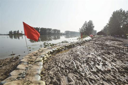 汈汊湖:西干渠出现险情 百余村民填沙袋铺彩条
