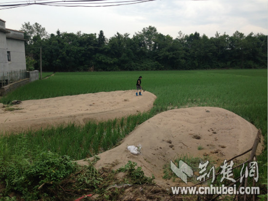 IMG_9264_meitu_3.jpg