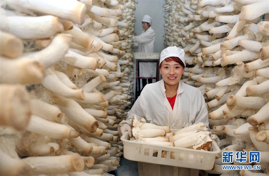 ��ͼ�Ļ������»�ȫýͷ�����캽�����̣���8����չ������ָ�򡪡������95��������