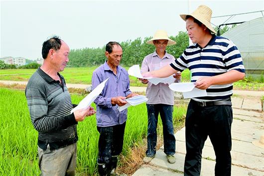 [党代表风采]周振涛：新型农民的种田经