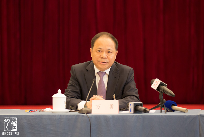 万勇代表:湖北武汉自贸区突出双自联动发展