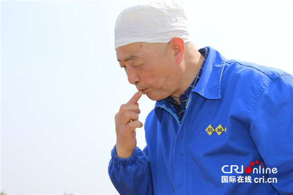 ͼƬĬ�ϱ���_fororder_036