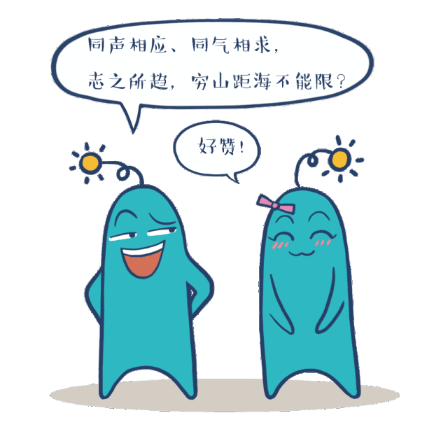 ��5������ÿ�궼��һ�Σ�Ϊɶ��