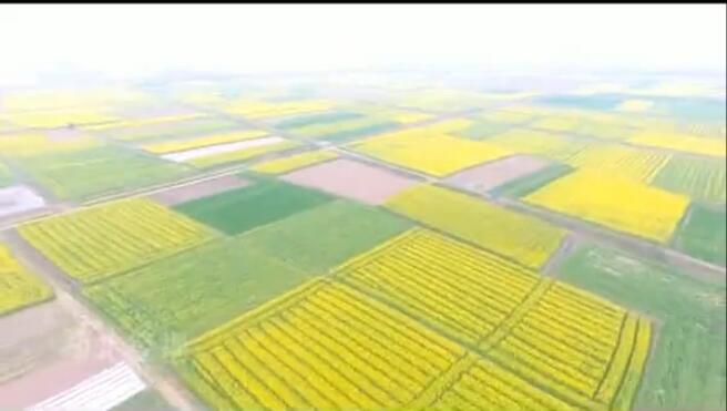 ʮ������ ���ݽ����Ͳ˻�ʢ��