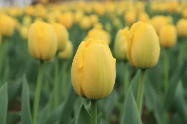 ���������ͻ��أ���һ��