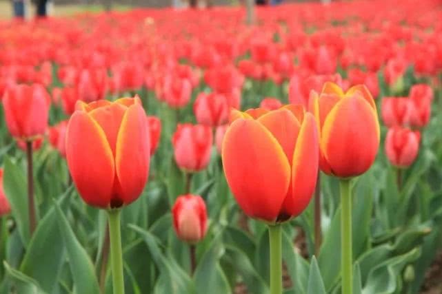 ���������ͻ��أ�������